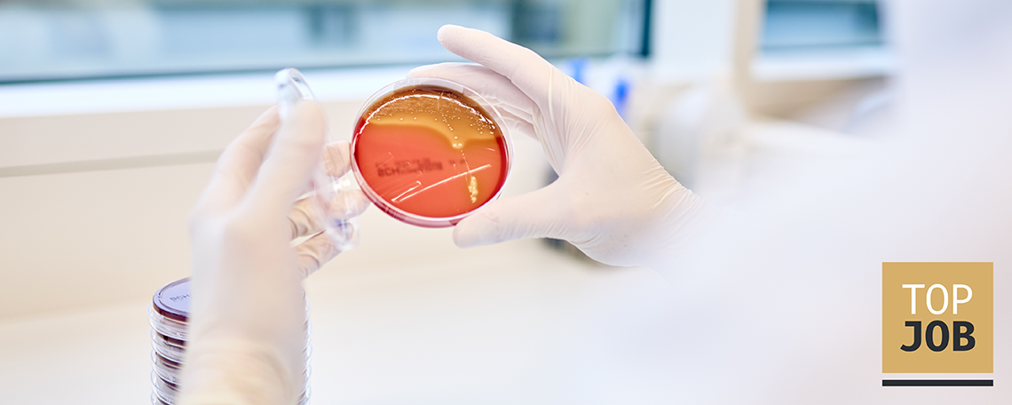 MTL, BTA oder Biologe (m/w/d) für unsere Mikrobiologie, 1. Bild